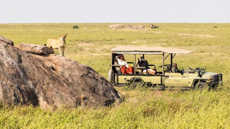 Wildlife Game Drives from Ihema Viewpoint Campsite – Nextgen Safaris Wildlife Game Drives from Ihema Viewpoint Campsite in Akagera National Park Rwanda – Guided Safari Adventures with Nextgen Safaris
