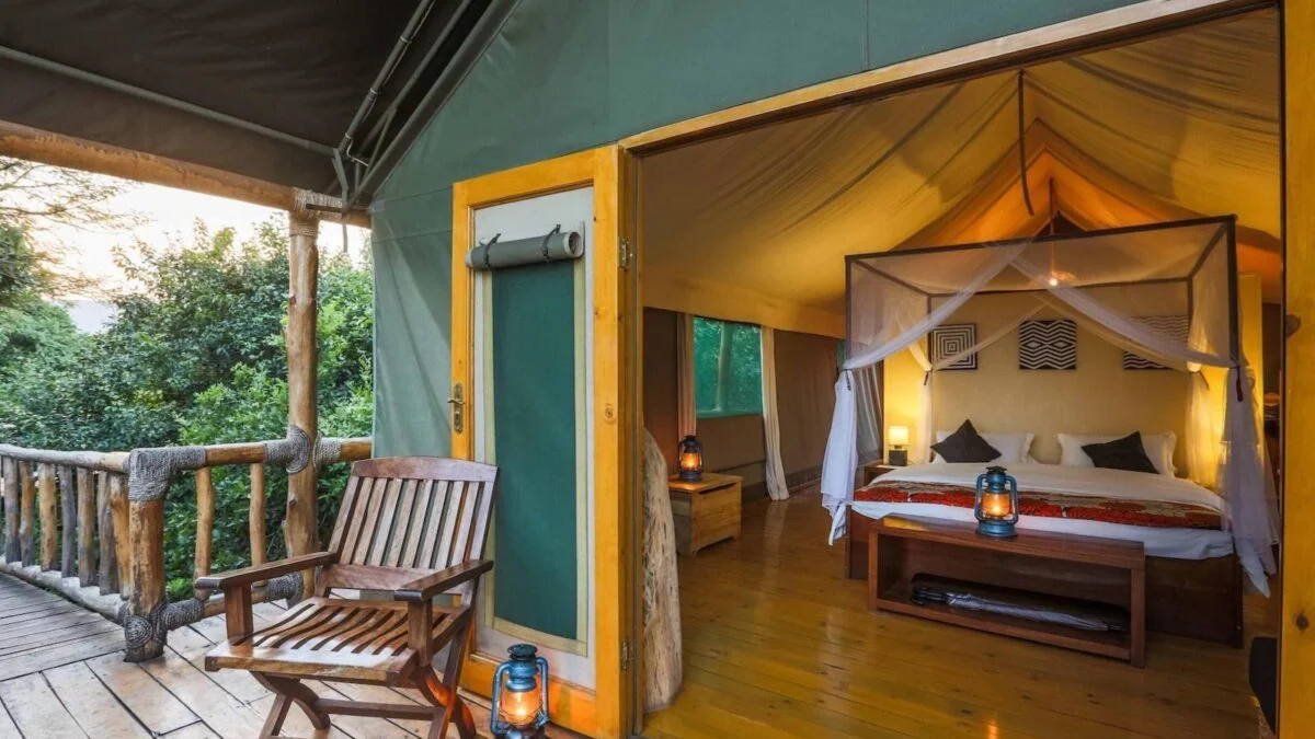 Safari Accommodation – Nextgen Safaris Safari Accommodation and Comfortable Wilderness Stay Experiences – Nextgen Safaris